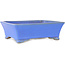 Rechthoekige blauwe bonsaipot van Shibakatsu - 182 x 145 x 60 mm