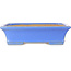 Rechthoekige blauwe bonsaipot van Shibakatsu - 195 x 150 x 53 mm