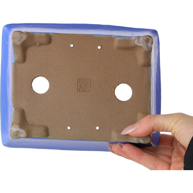 Maceta rectangular azul para bonsái de Shibakatsu - 182 x 145 x 60 mm
