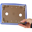 Maceta rectangular azul para bonsái de Shibakatsu - 182 x 145 x 60 mm