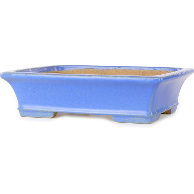 Rechteckiger blauer Bonsai-Topf von Shibakatsu – 195 x 150 x 53 mm