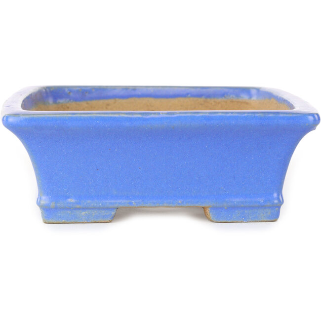 Rechteckiger blauer Bonsai-Topf von Shibakatsu – 195 x 150 x 53 mm