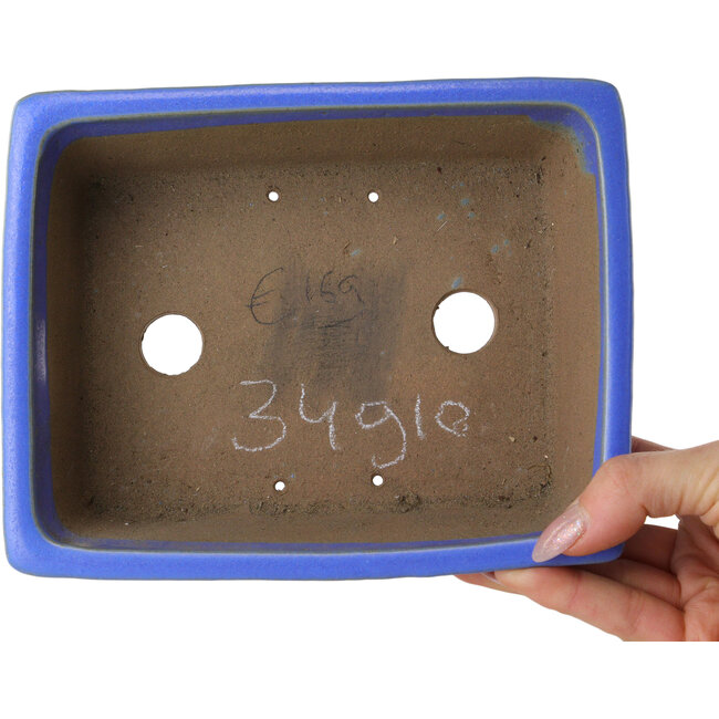 Vaso bonsai rettangolare blu di Shibakatsu - 182 x 145 x 60 mm