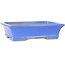 Rectangular blue bonsai pot by Shibakatsu - 195 x 150 x 53 mm