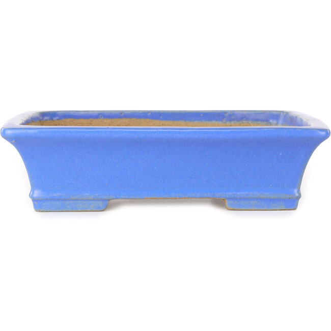 Rechteckiger blauer Bonsai-Topf von Shibakatsu – 195 x 150 x 53 mm