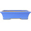 Maceta rectangular azul para bonsái de Shibakatsu - 195 x 150 x 53 mm