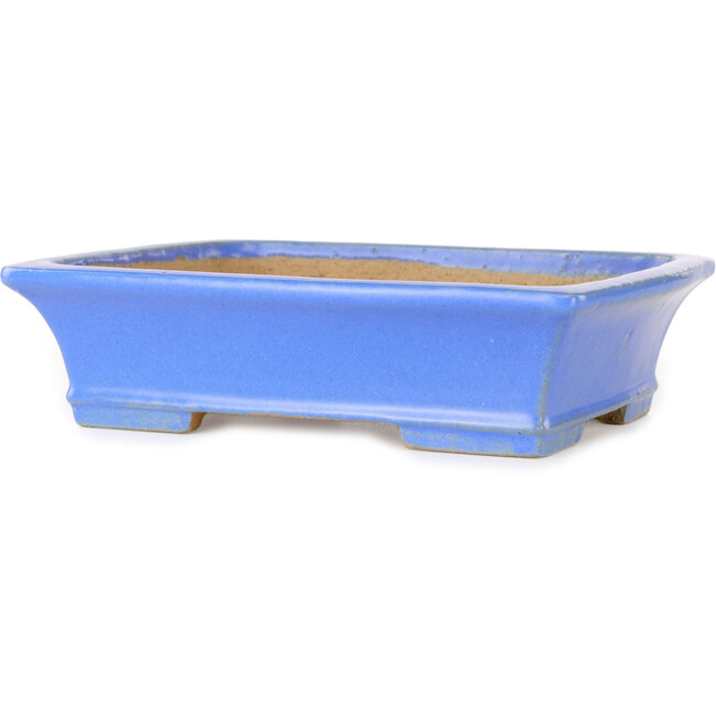 Vaso bonsai rettangolare blu di Shibakatsu - 195 x 150 x 53 mm