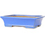 Pot à bonsaï rectangulaire bleu de Shibakatsu - 195 x 150 x 53 mm
