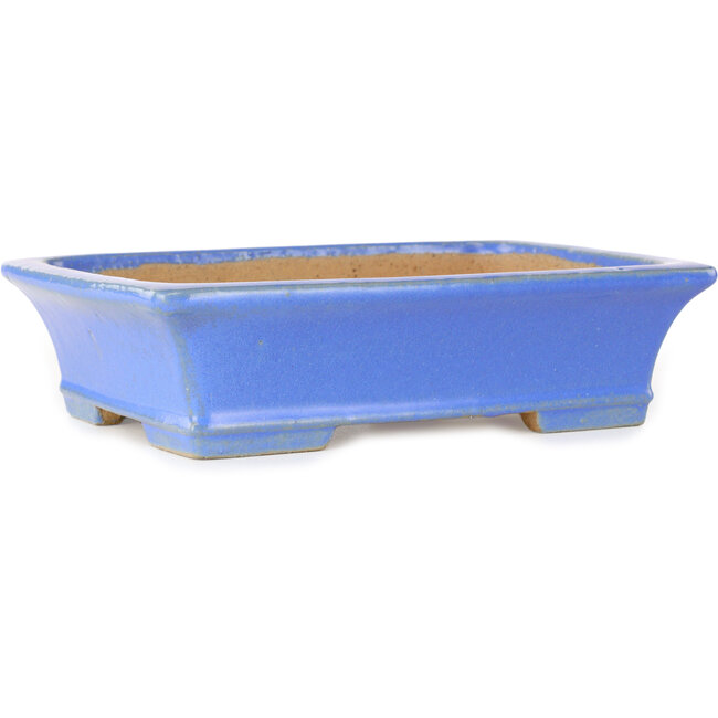 Maceta rectangular azul para bonsái de Shibakatsu - 195 x 150 x 53 mm