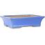 Rectangular blue bonsai pot by Shibakatsu - 195 x 150 x 53 mm
