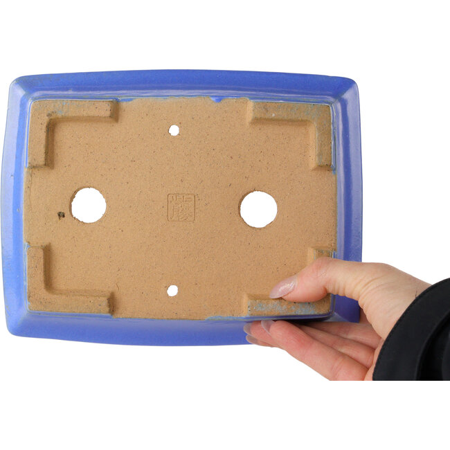 Pot à bonsaï rectangulaire bleu de Shibakatsu - 195 x 150 x 53 mm