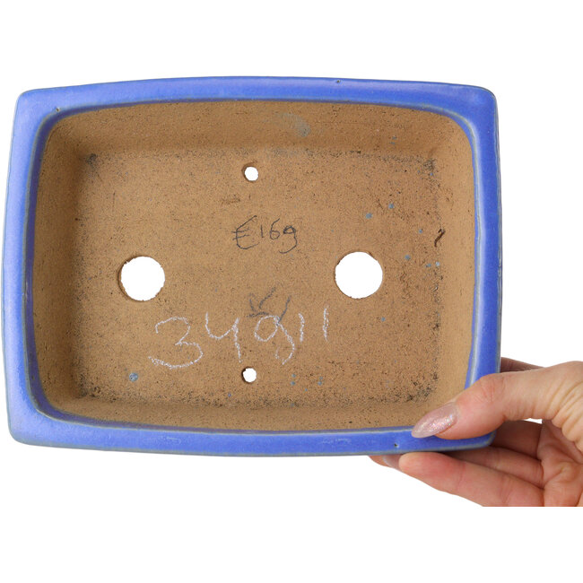Maceta rectangular azul para bonsái de Shibakatsu - 195 x 150 x 53 mm