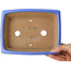Maceta rectangular azul para bonsái de Shibakatsu - 195 x 150 x 53 mm