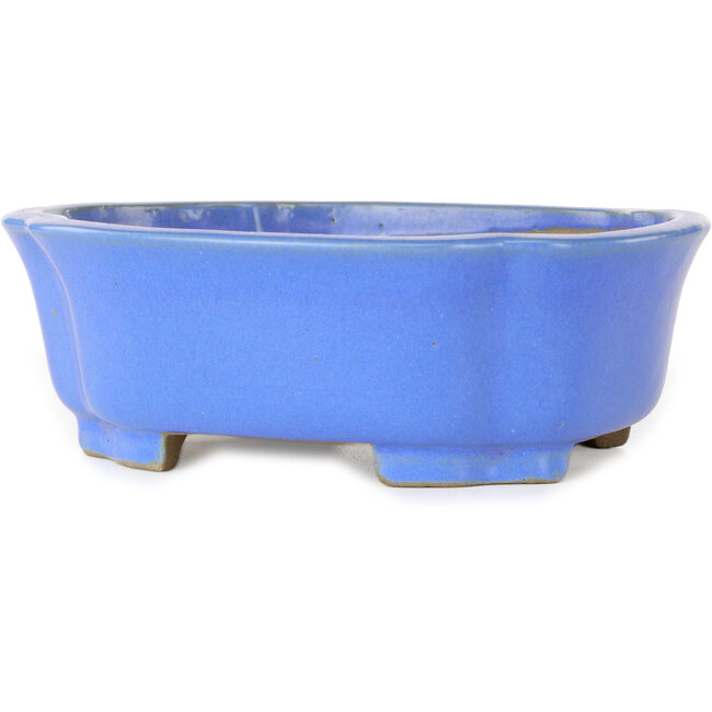 Pot à bonsaï Mokko bleu de Shibakatsu - 185 x 161 x 65 mm