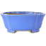 Maceta para bonsái azul Mokko de Shibakatsu - 185 x 161 x 65 mm
