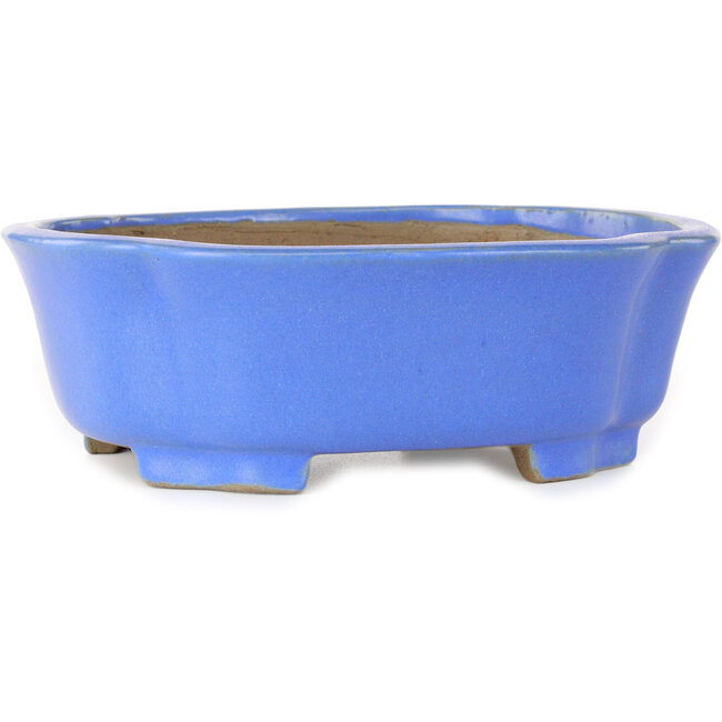 Mokko blauer Bonsai-Topf von Shibakatsu – 185 x 161 x 65 mm