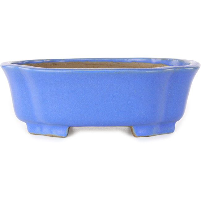 Mokko blauer Bonsai-Topf von Shibakatsu – 185 x 161 x 65 mm