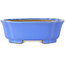 Maceta para bonsái azul Mokko de Shibakatsu - 185 x 161 x 65 mm