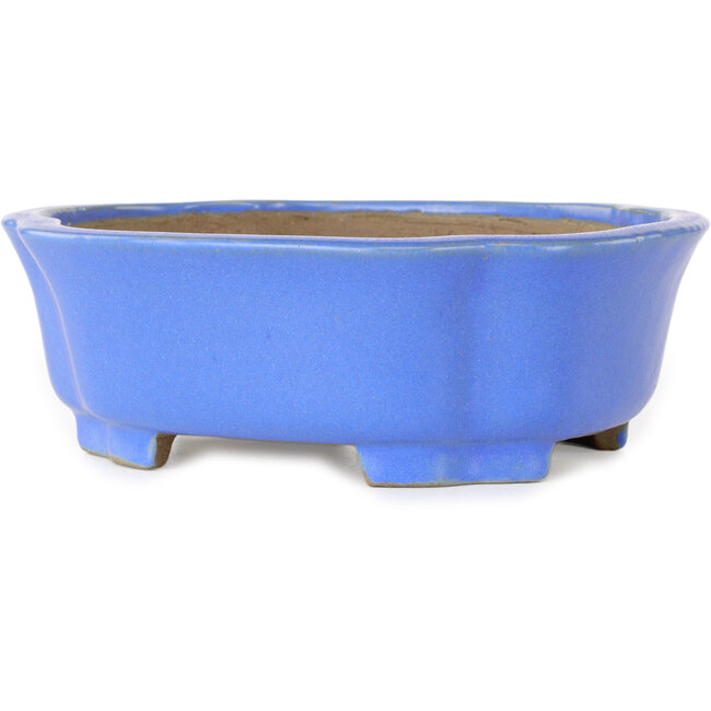 Mokko blue bonsai pot by Shibakatsu - 185 x 161 x 65 mm