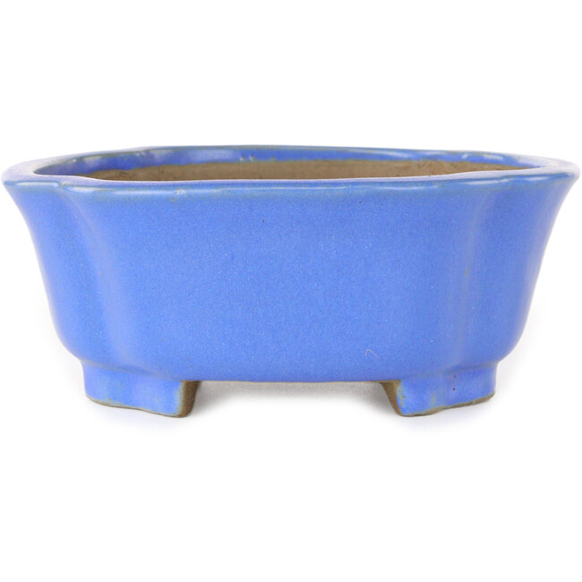 Mokko blauer Bonsai-Topf von Shibakatsu – 185 x 161 x 65 mm