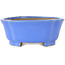 Maceta para bonsái azul Mokko de Shibakatsu - 185 x 161 x 65 mm
