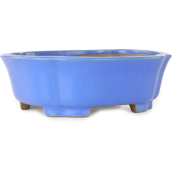 Mokko blauer Bonsai-Topf von Shibakatsu – 185 x 161 x 65 mm