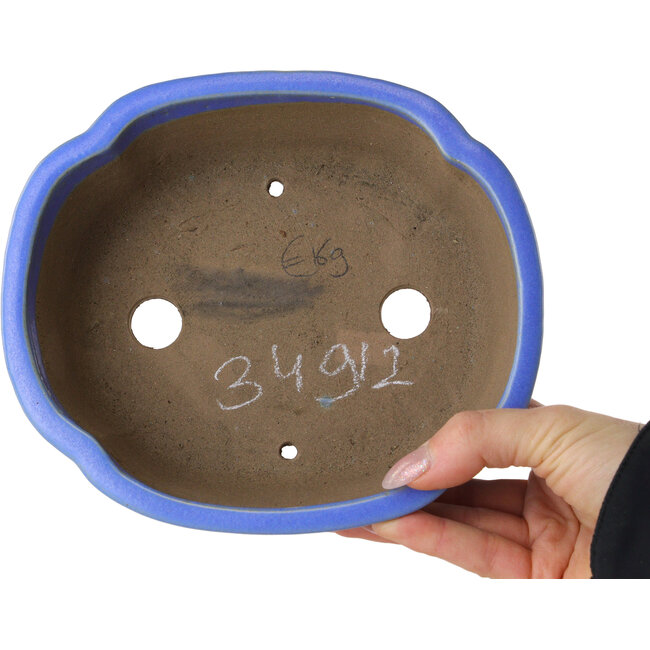 Maceta para bonsái azul Mokko de Shibakatsu - 185 x 161 x 65 mm