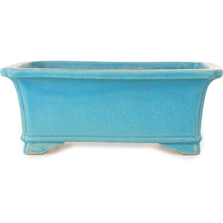  Shibakatsu (Katsuichi Shibata) Pot à bonsaï rectangulaire turquoise de 188 mm par Shibakatsu, Tokoname, Japon