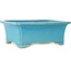 Pot à bonsaï rectangulaire turquoise de Shibakatsu - 188 x 152 x 70 mm