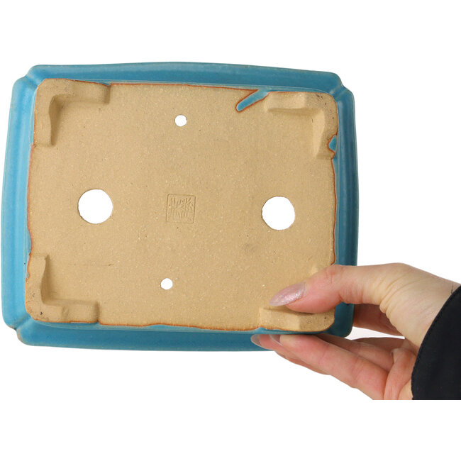 Maceta rectangular turquesa para bonsái de Shibakatsu - 188 x 152 x 70 mm