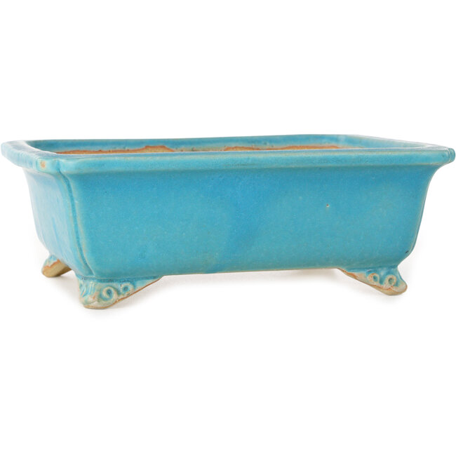 Maceta rectangular turquesa para bonsái de Shibakatsu - 190 x 157 x 63 mm