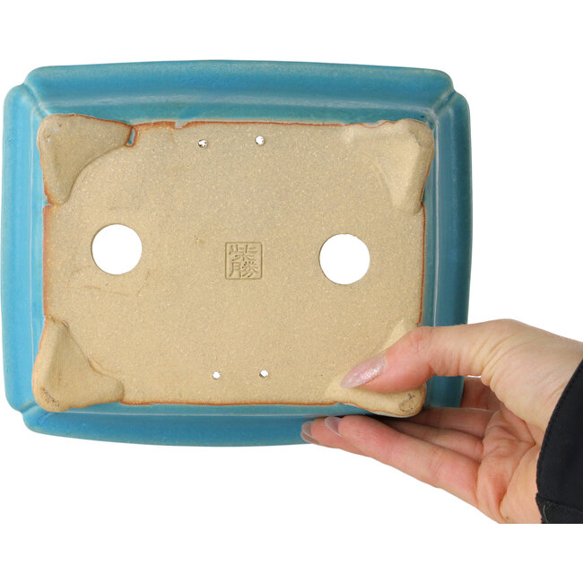 Maceta rectangular turquesa para bonsái de Shibakatsu - 190 x 157 x 63 mm