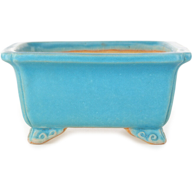 Vaso bonsai rettangolare turchese di Shibakatsu - 157 x 132 x 65 mm