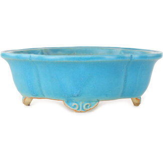  Shibakatsu (Katsuichi Shibata) Maceta para bonsái mokko turquesa de 182 mm de Shibakatsu, Tokoname, Japón