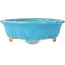 Mokko turquoise bonsai pot van Shibakatsu - 182 x 158 x 63 mm