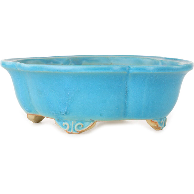 Maceta para bonsái turquesa Mokko de Shibakatsu - 182 x 158 x 63 mm