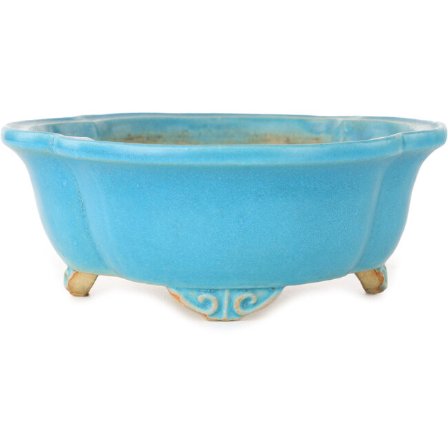 Maceta para bonsái turquesa Mokko de Shibakatsu - 182 x 158 x 63 mm