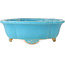 Mokko turquoise bonsai pot van Shibakatsu - 182 x 158 x 63 mm