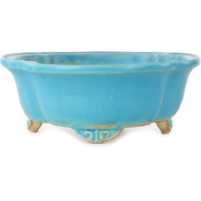 Pot à bonsaï turquoise Mokko de Shibakatsu - 182 x 158 x 63 mm