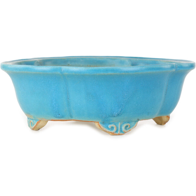 Pot à bonsaï turquoise Mokko de Shibakatsu - 182 x 158 x 63 mm