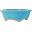 Mokko turquoise bonsai pot van Shibakatsu - 182 x 158 x 63 mm