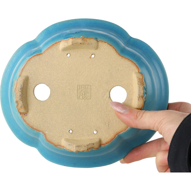 Mokko turquoise bonsai pot van Shibakatsu - 182 x 158 x 63 mm