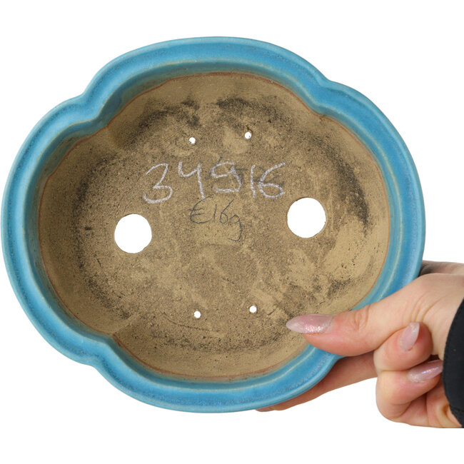 Pot à bonsaï turquoise Mokko de Shibakatsu - 182 x 158 x 63 mm