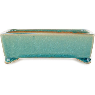  Shibakatsu (Katsuichi Shibata) Pot à bonsaï rectangulaire craquelé turquoise 158 mm par Shibakatsu, Tokoname, Japon