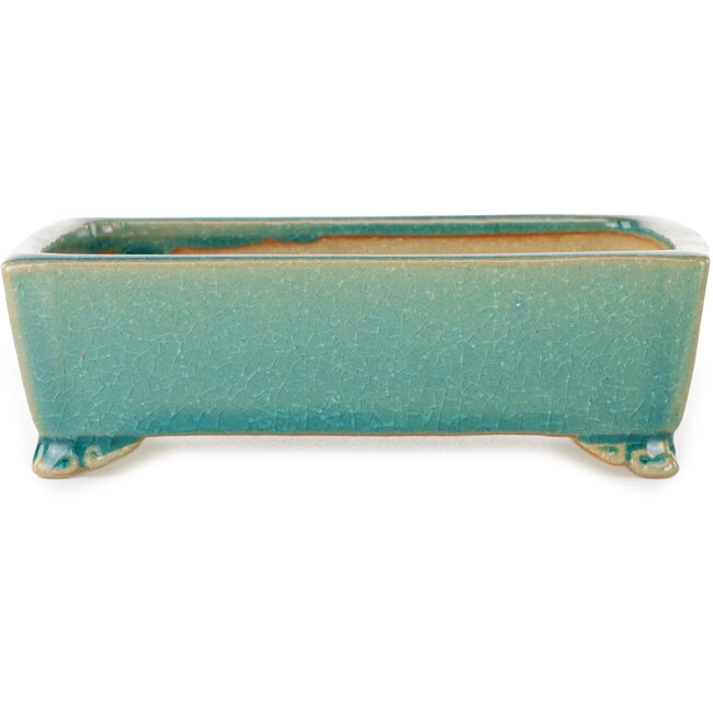 Maceta rectangular para bonsái craquelé turquesa de Shibakatsu - 158 x 116 x 49 mm