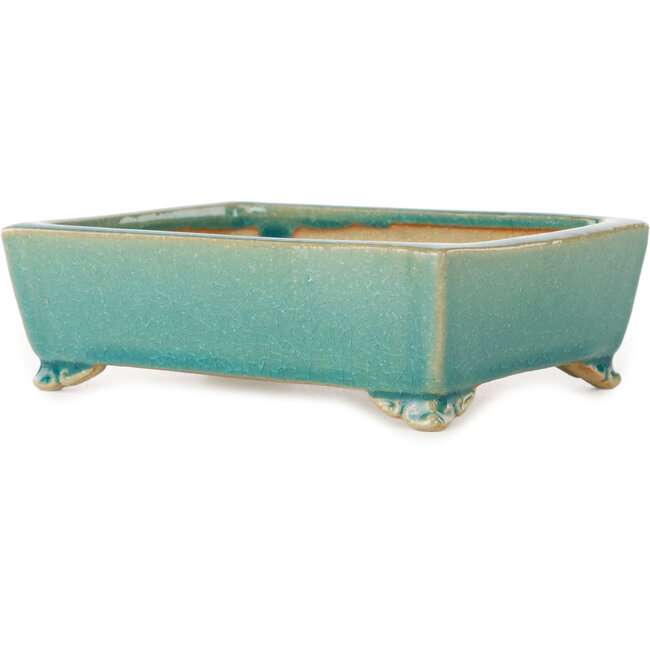 Rechthoekige turquoise craquelé bonsaipot van Shibakatsu - 158 x 116 x 49 mm