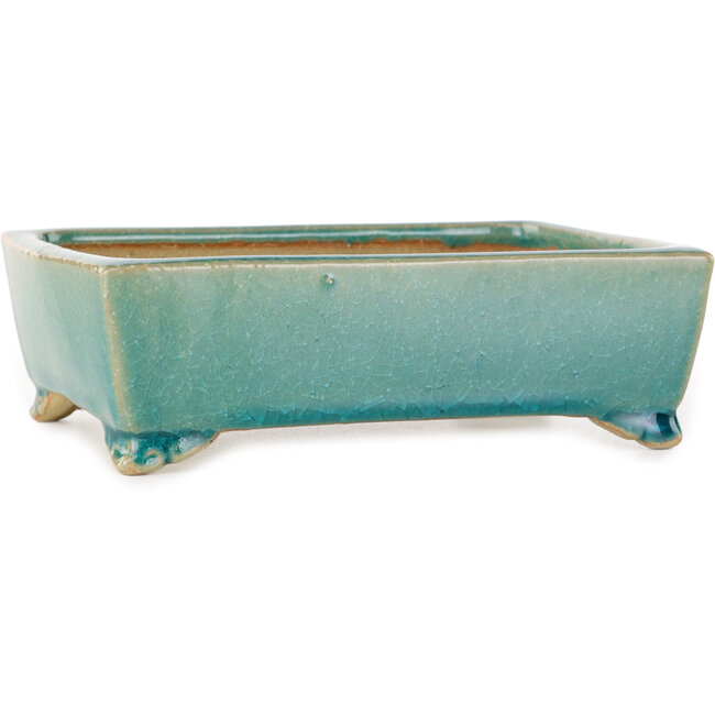 Pot à bonsaï rectangulaire craquelé turquoise par Shibakatsu - 158 x 116 x 49 mm