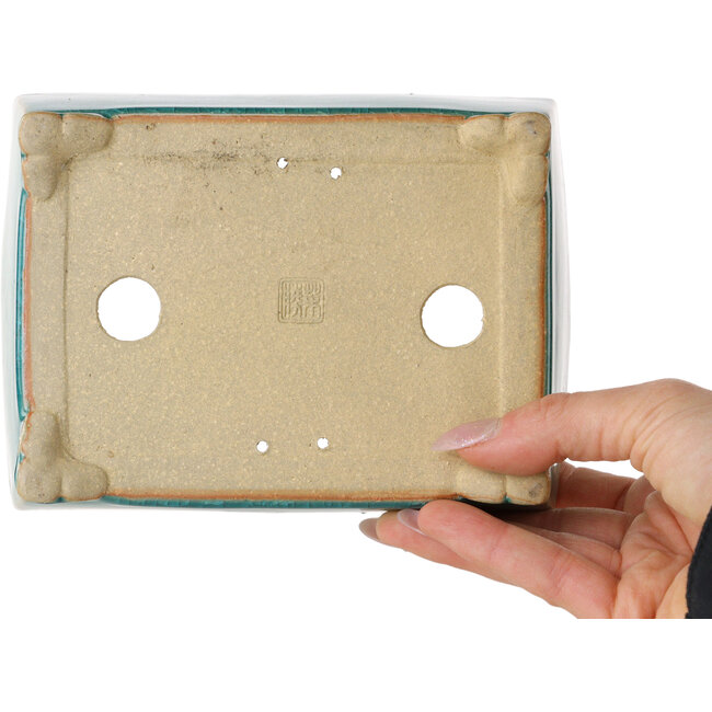 Maceta rectangular para bonsái craquelé turquesa de Shibakatsu - 158 x 116 x 49 mm