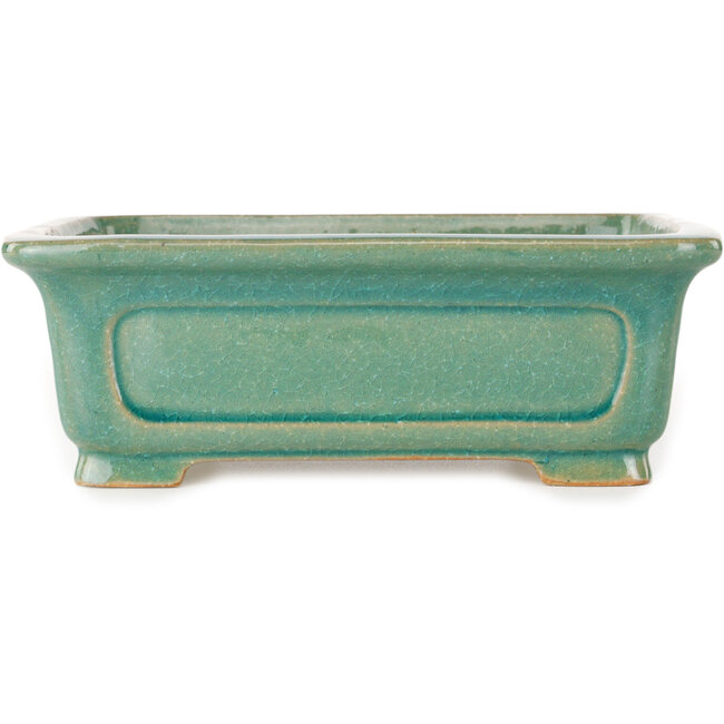 Vaso bonsai rettangolare turchese craquelé di Shibakatsu - 197 x 150 x 67 mm