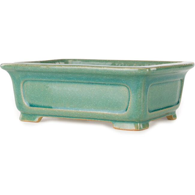 Maceta rectangular para bonsái craquelé turquesa de Shibakatsu - 197 x 150 x 67 mm
